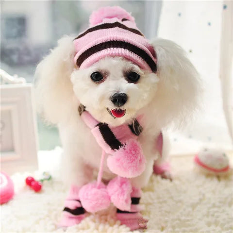 Striped Knit Pet Hat, Scarf & Leg-Warmer Outfit
