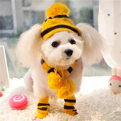 Striped Knit Pet Hat, Scarf & Leg-Warmer Outfit