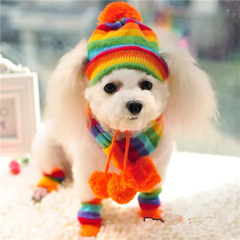 Striped Knit Pet Hat, Scarf & Leg-Warmer Outfit