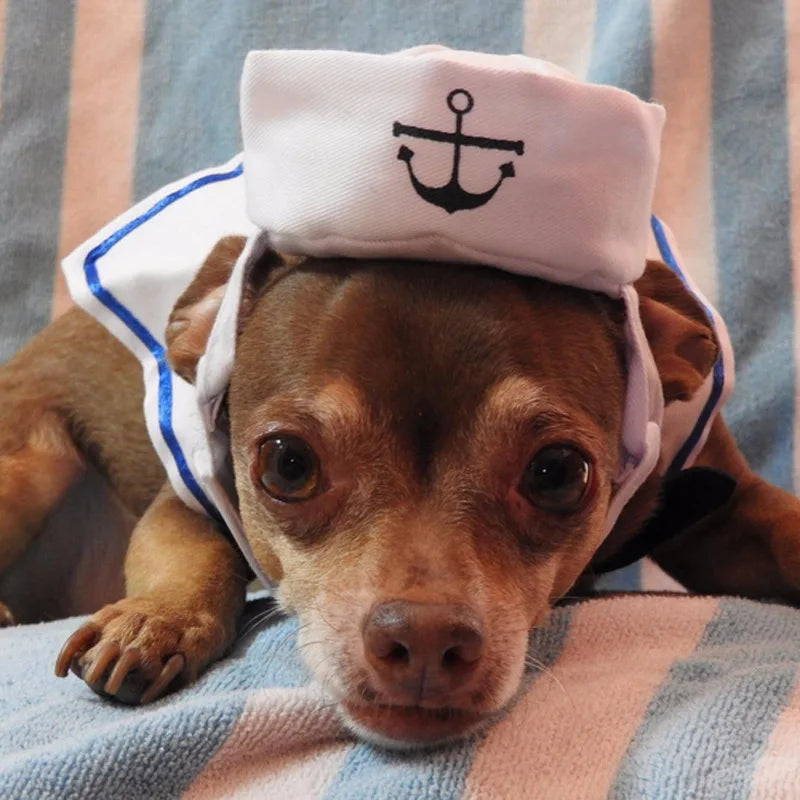 White Sailor Hat & Cloak Pet Costume