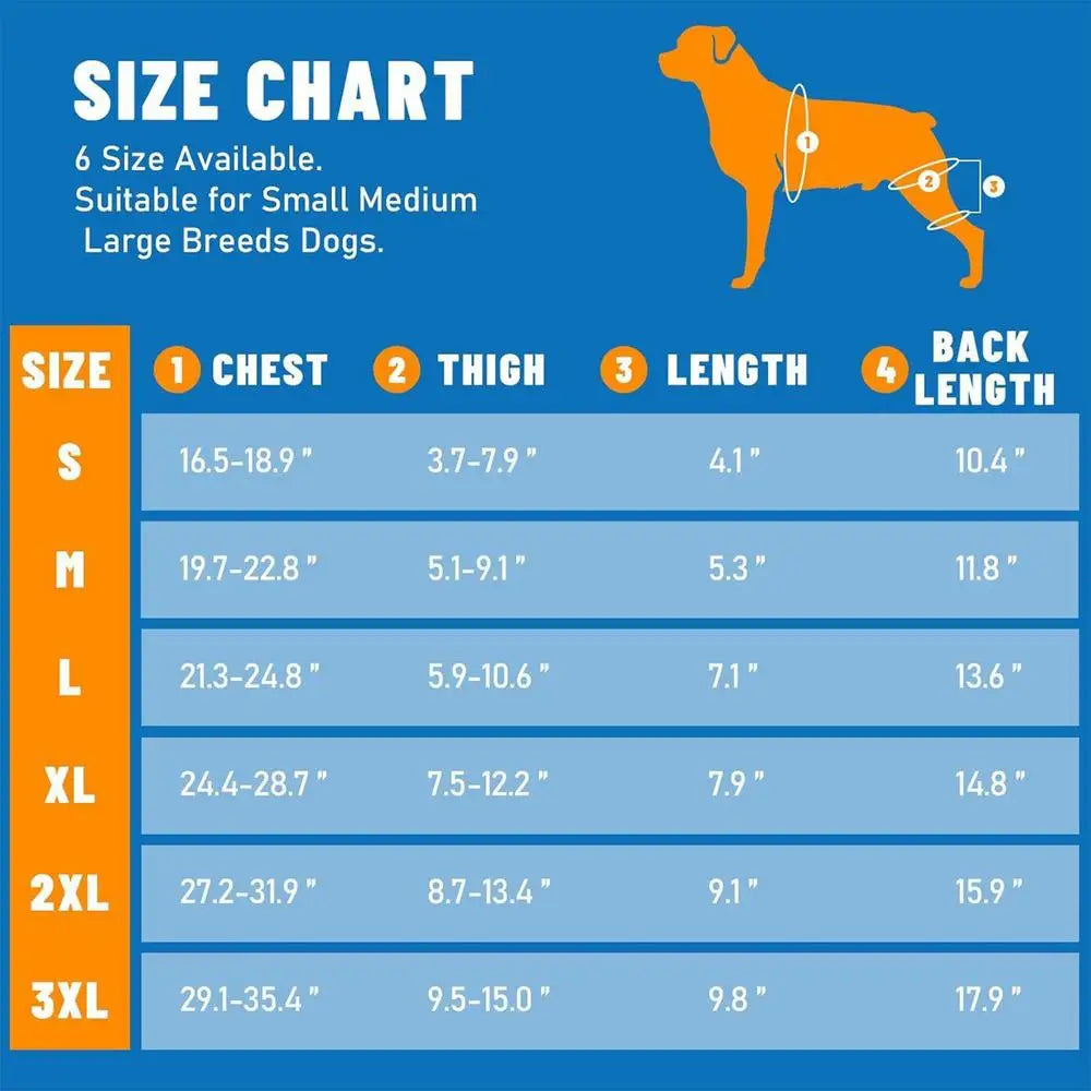 Adjustable Dog Rear-Leg Brace with Wraparound Harness