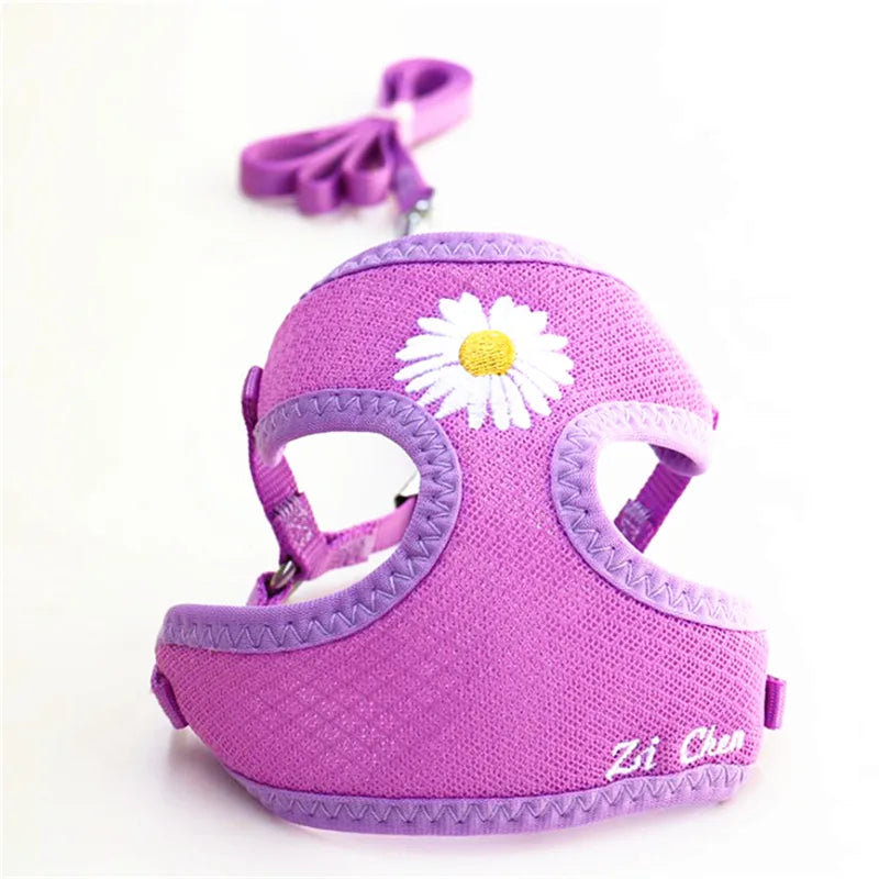 Daisy-Embroidered Mesh Pet Harness & Matching Leash Set