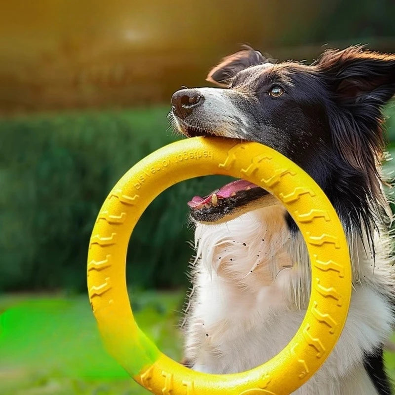 Textured Dog Fetch Ring, Small & Large Options