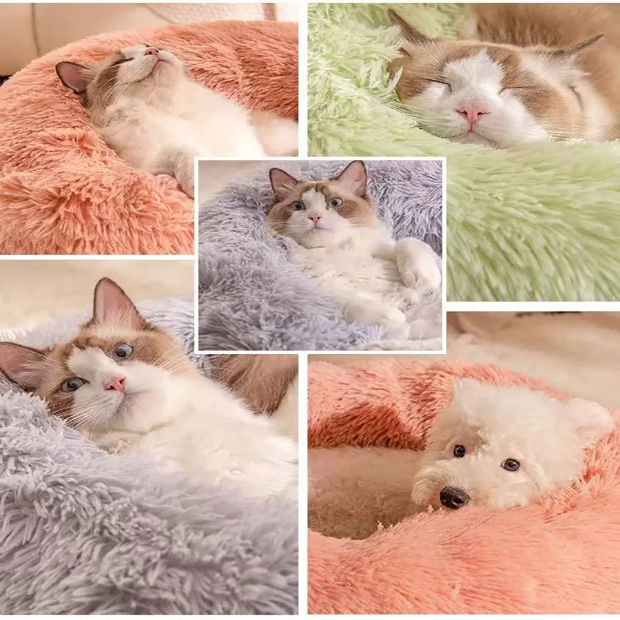 Plush Donut Bed for Cats & Small Dogs