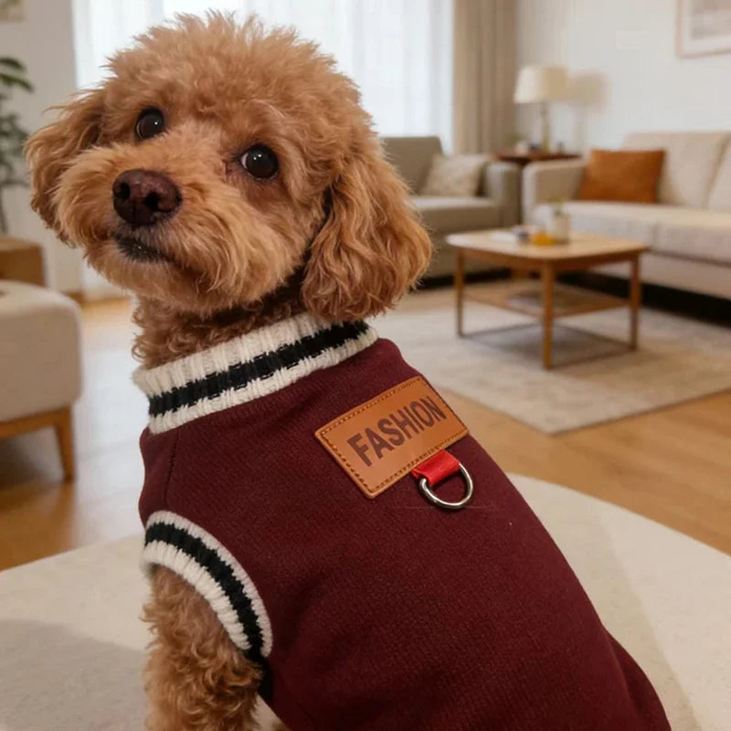 Striped-Trim Pet Sweater Vest with Back Patch