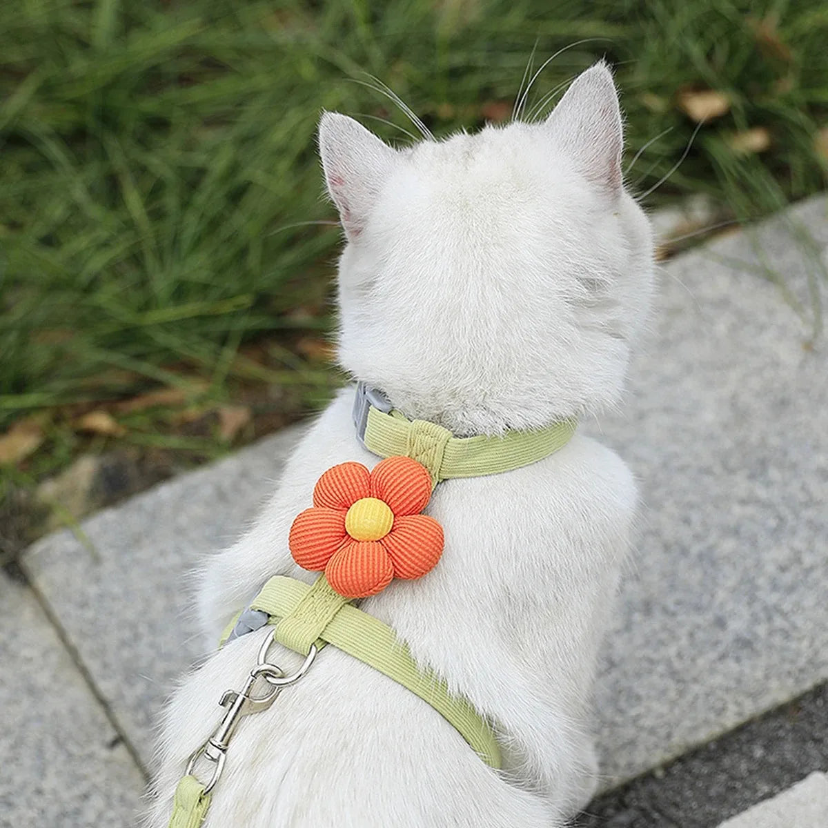 Flower-Detail Pet Harness & Matching Leash Set