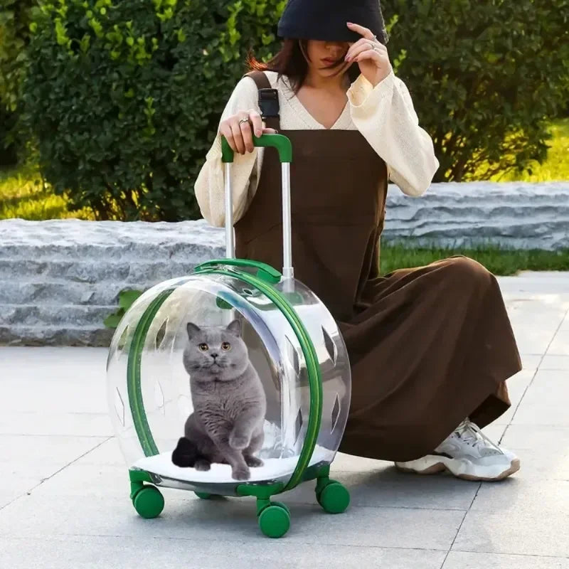 Clear Bubble Rolling Pet Carrier with Telescoping Handle