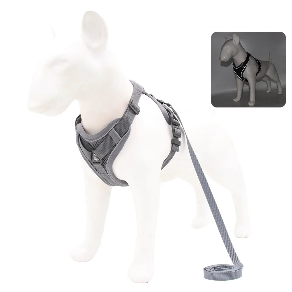 Solid-Color Mesh Pet Harness & 150 cm Leash Set