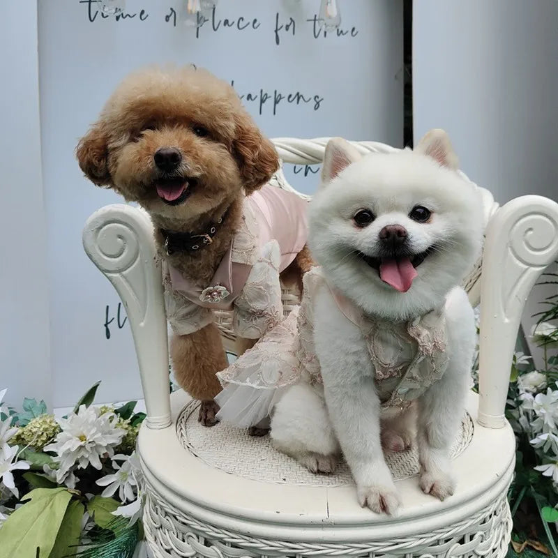 Floral Lace Pet Occasion Outfit, Dress or Suit