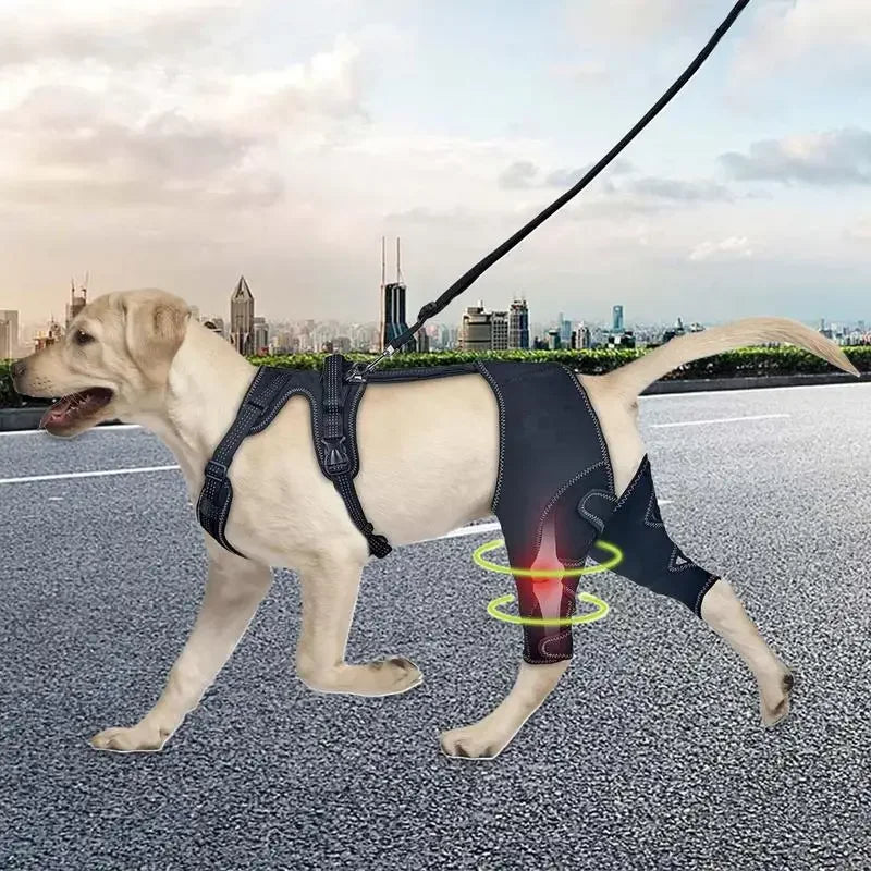 Dog Rear-Leg Wrap with Detachable Chest Harness