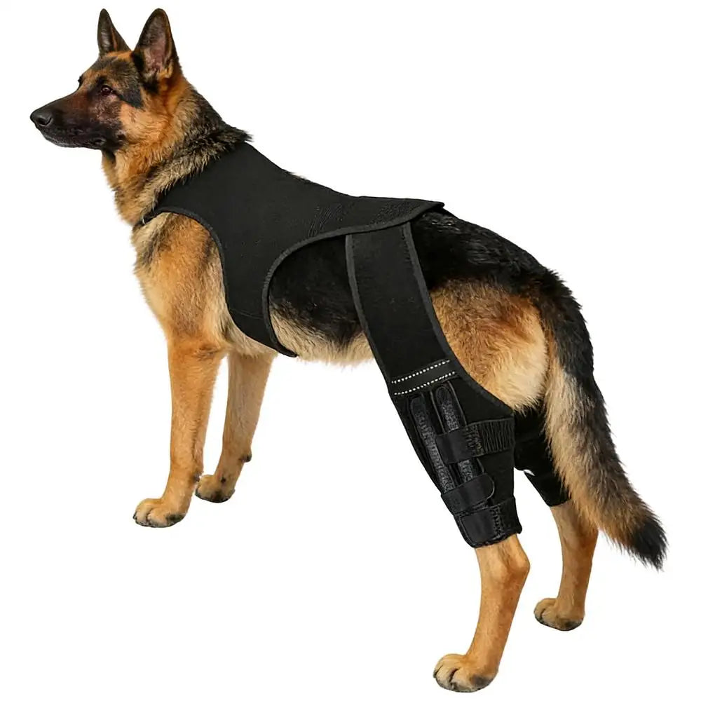 Adjustable Dog Rear-Leg Brace with Wraparound Harness
