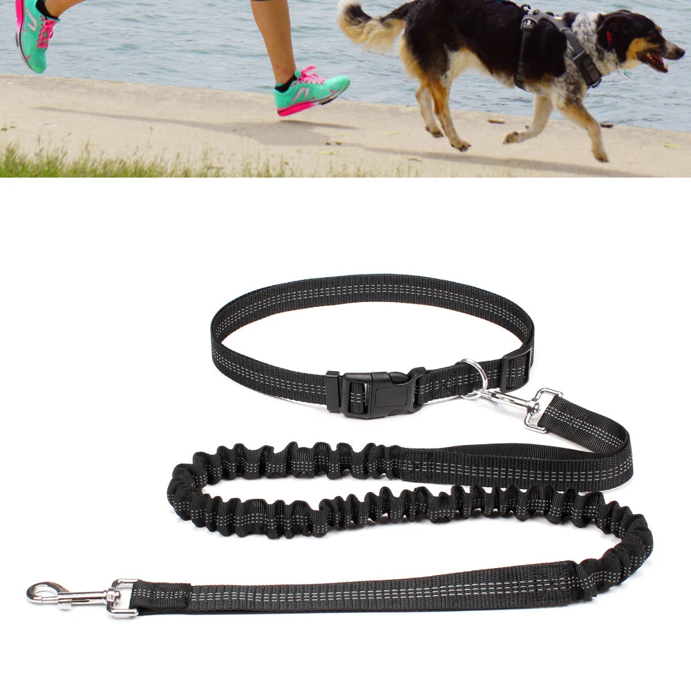 Waist-Belt Dog Leash Set with Bungee Sections