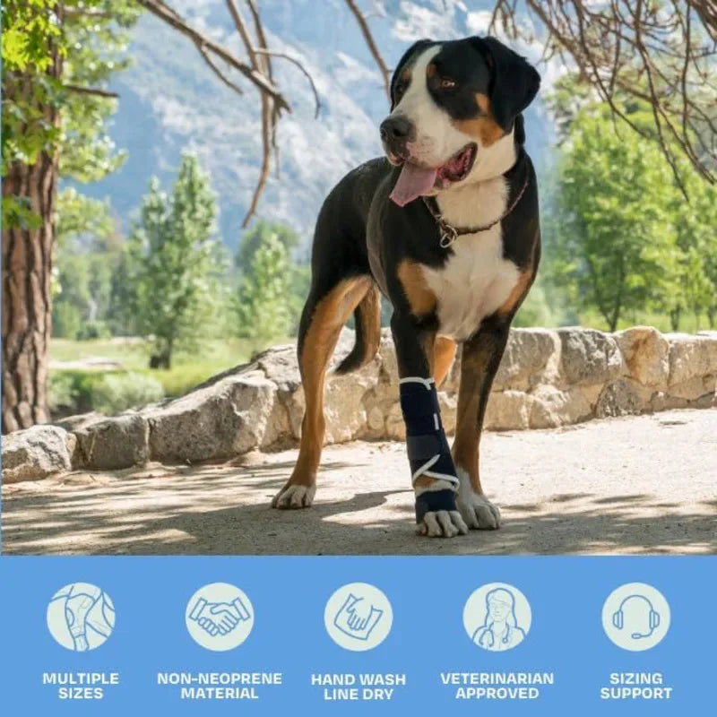 Front-Leg Carpal Splint for Dogs