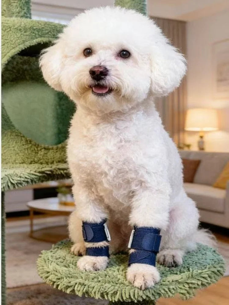 Front-Leg Carpal Splint for Dogs