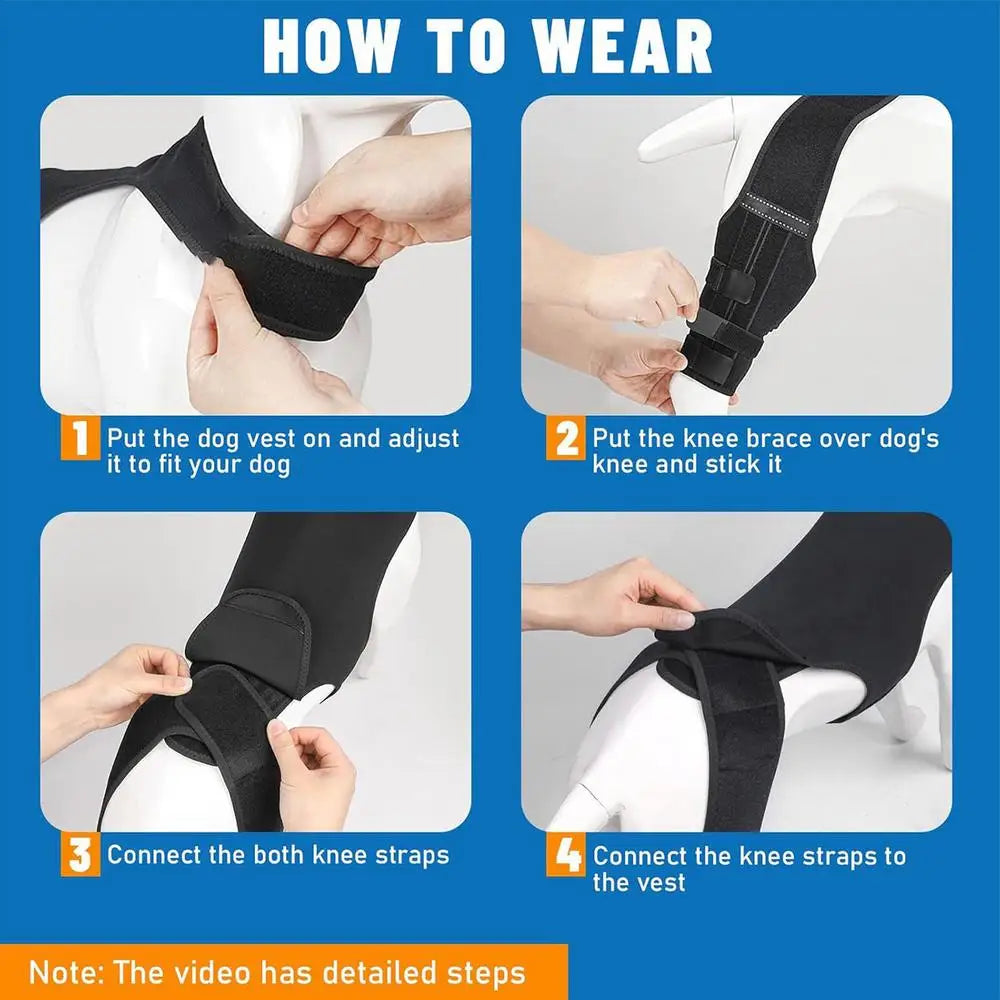 Adjustable Dog Rear-Leg Brace with Wraparound Harness
