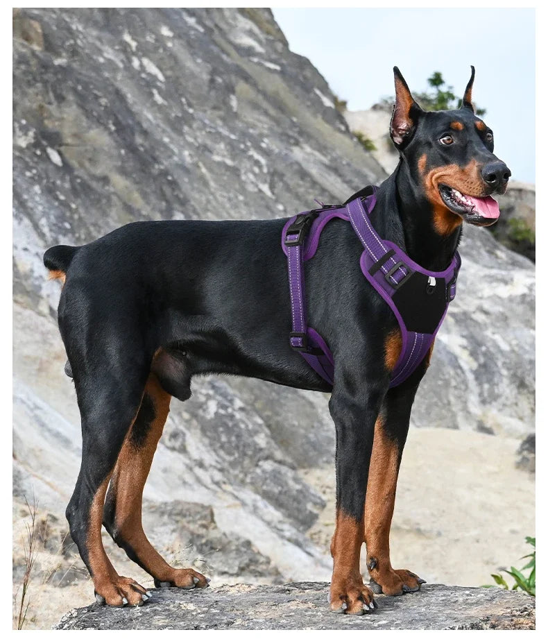 Adjustable Dog Harness with Reflective Trim & Top Handle