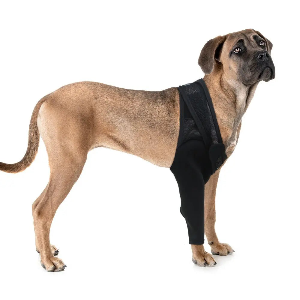 Adjustable Dog Leg Wrap with Mesh Connecting Strap