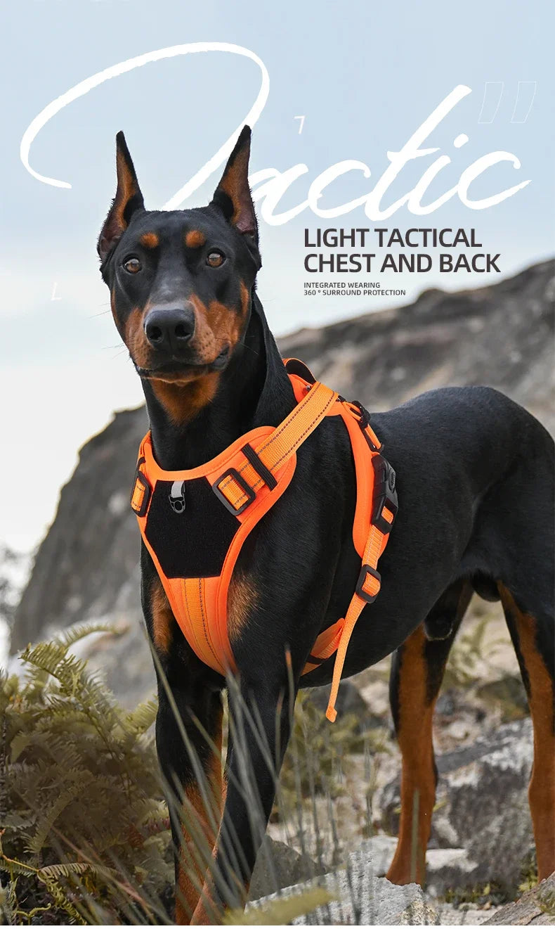 Adjustable Dog Harness with Reflective Trim & Top Handle