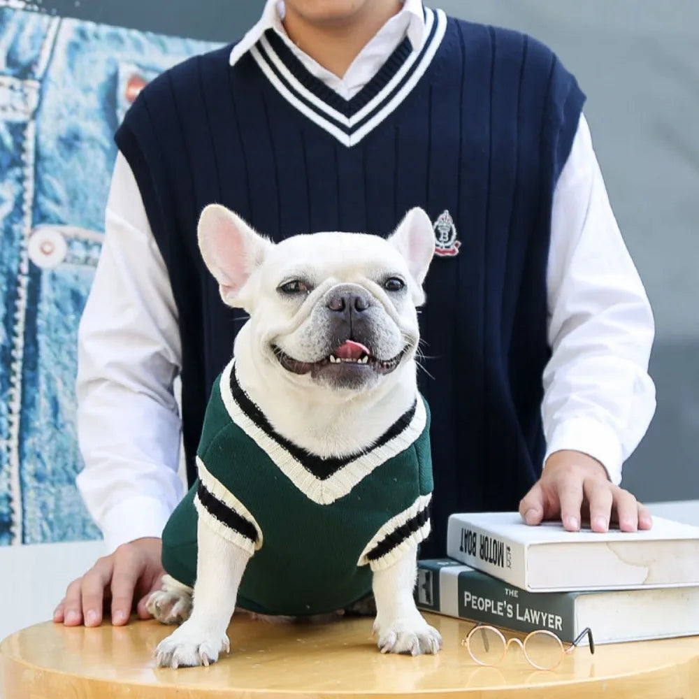 Varsity-Style V-Neck Pet Sweater