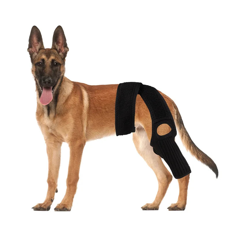 Dog Leg Wraps and Connected Paw Covers, Six Styles