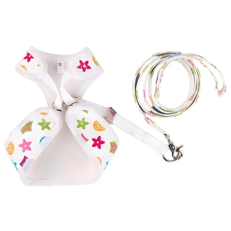 Classic-Pattern Mesh Pet Harness & Leash Set