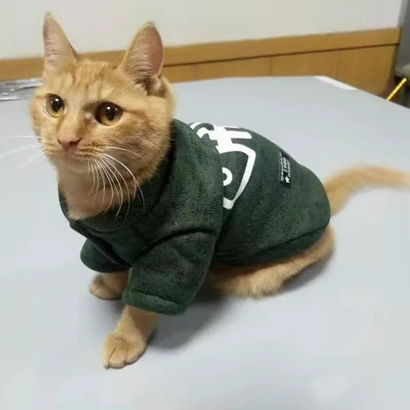 Fish-Graphic Cat Pullover