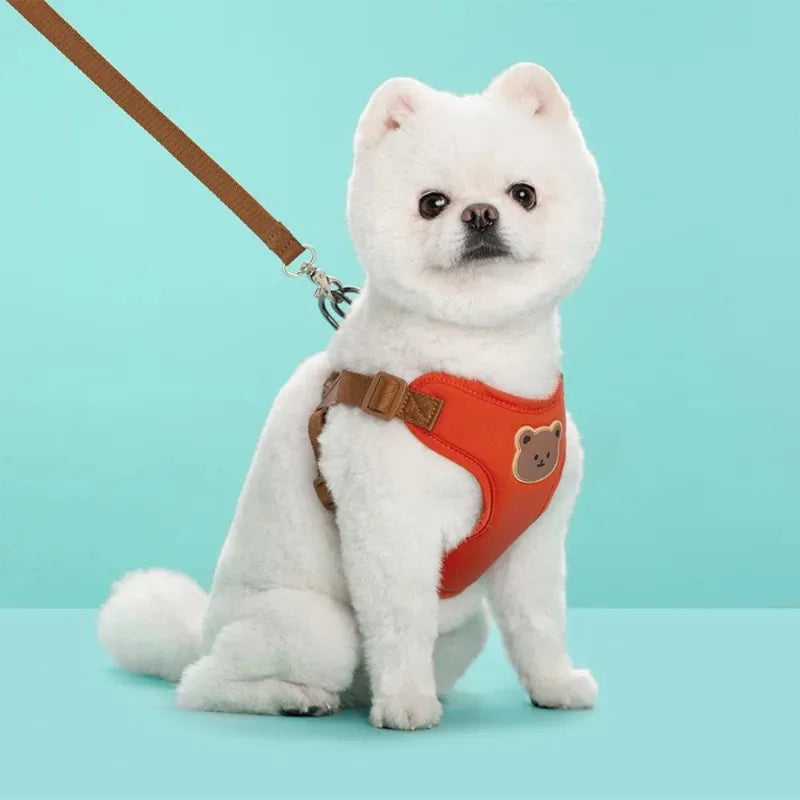 Bear-Detail Pet Harness & Leash Set with Mesh Lining