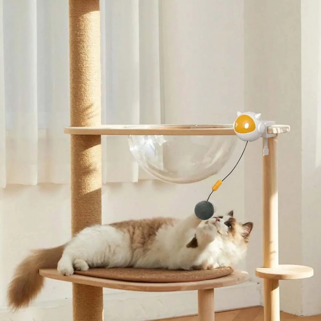 Automatic Up-and-Down Cat Toy with Table Clamp