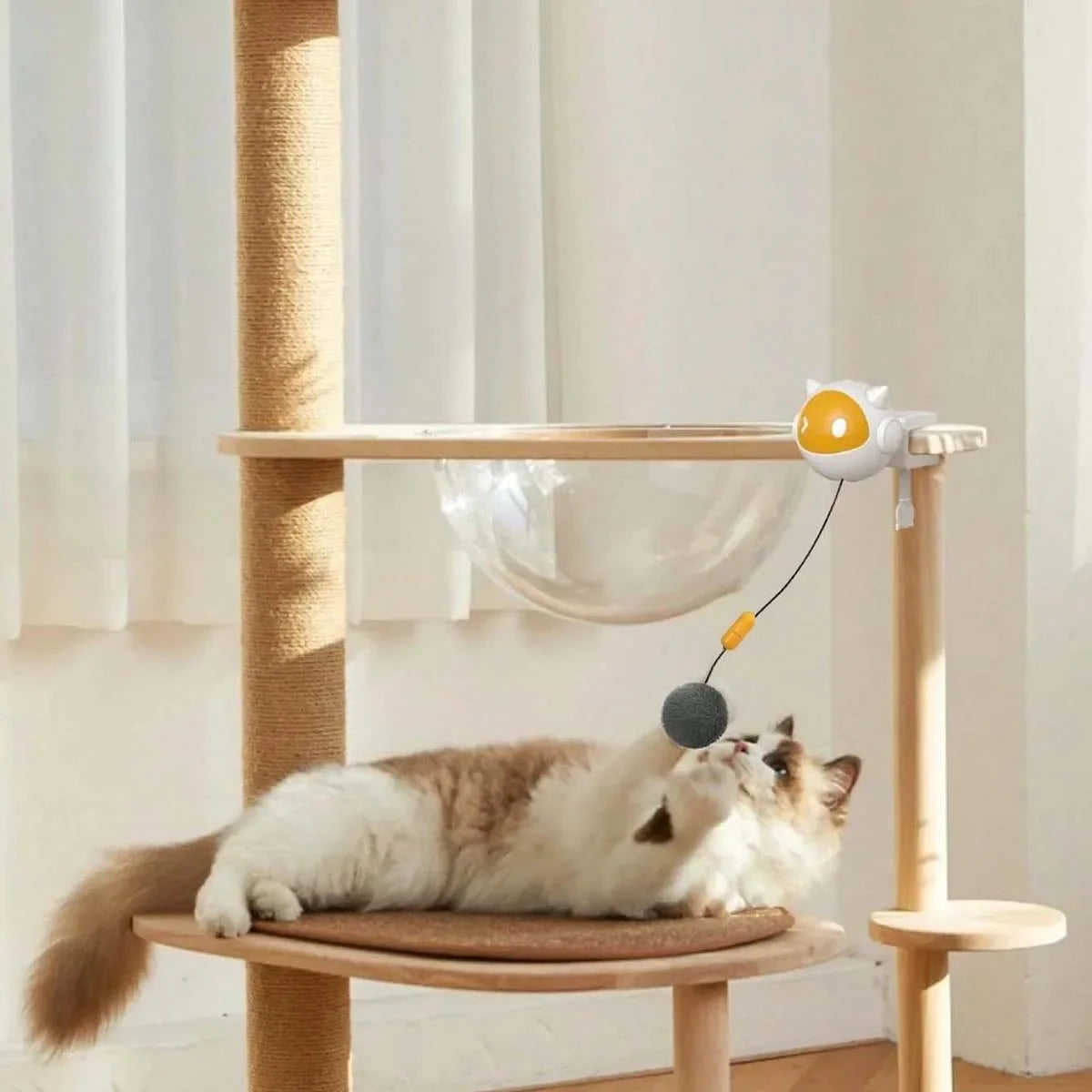 Automatic Up-and-Down Cat Toy with Table Clamp