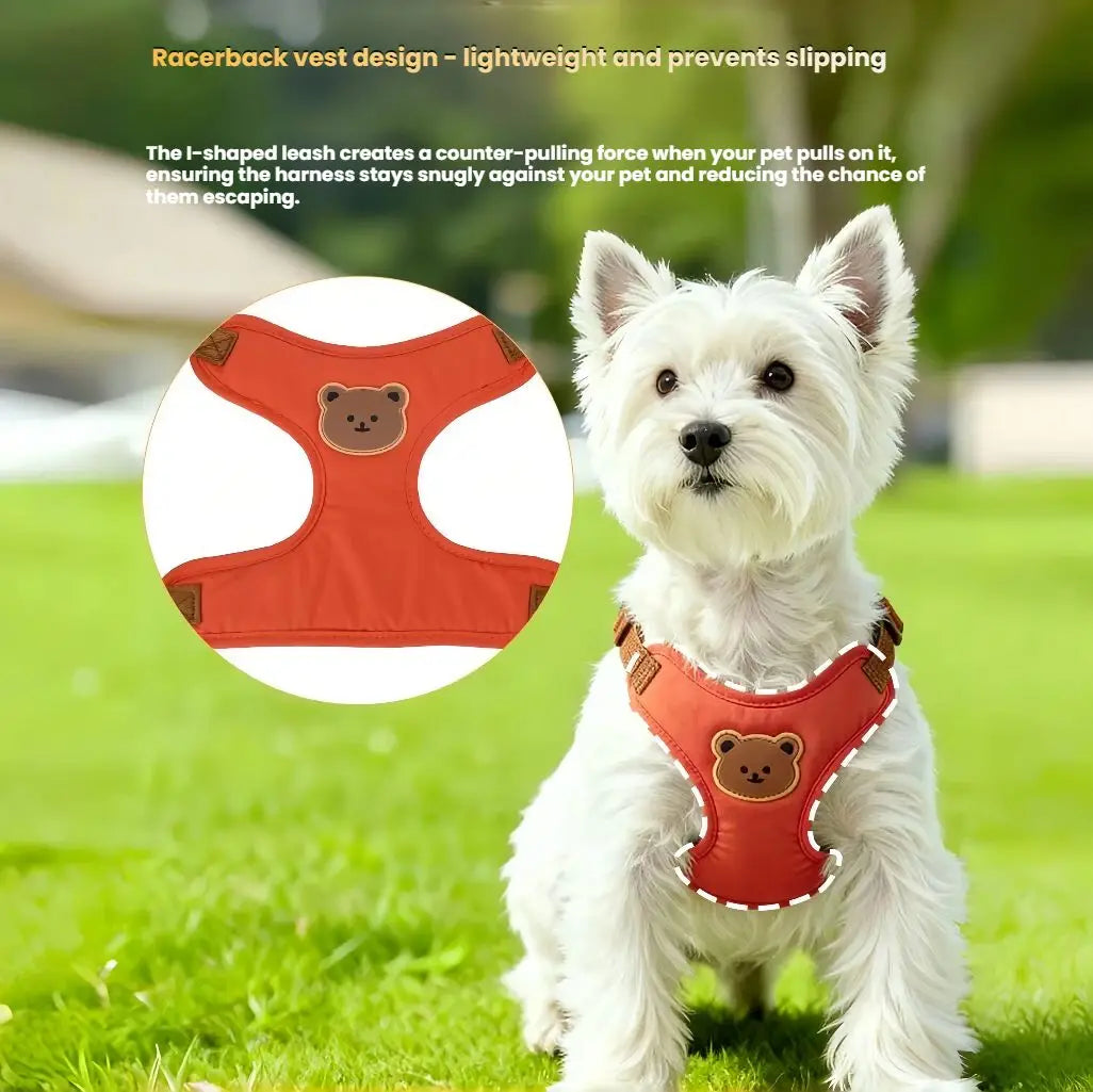 Bear-Detail Pet Harness & Leash Set with Mesh Lining