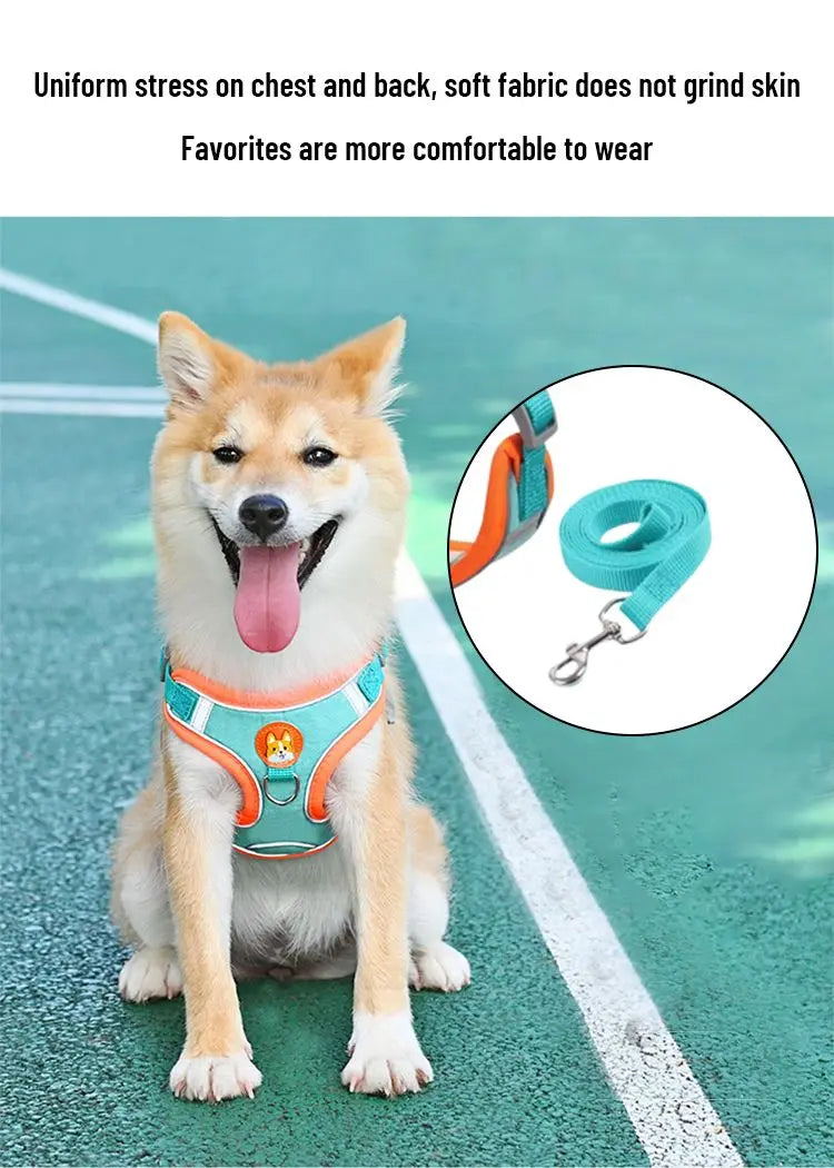 Adjustable Reflective Pet Harness & 150 cm Leash, Lake Blue