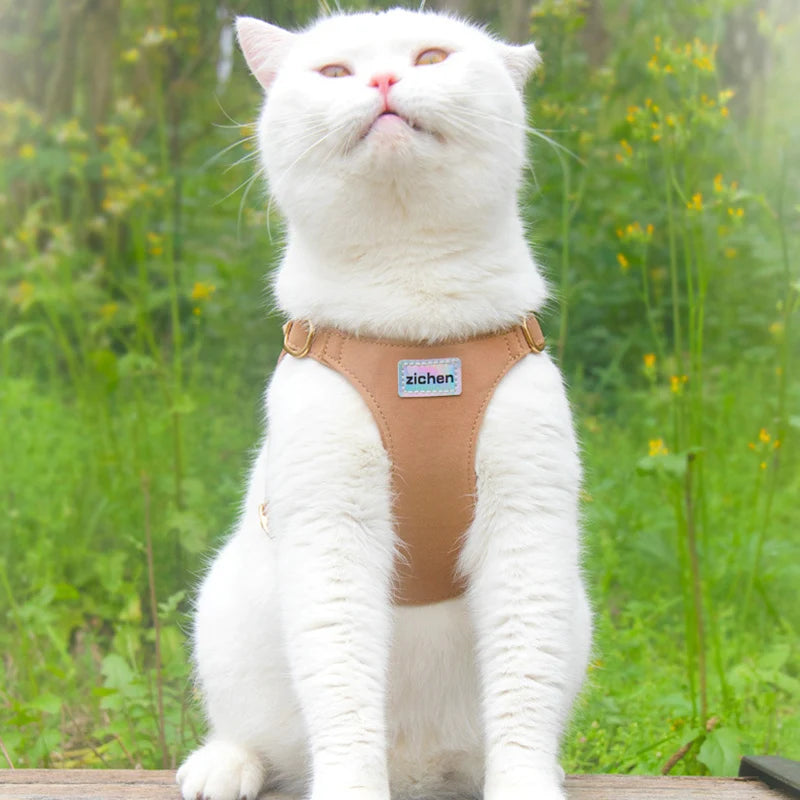 Suede-Look Pet Harness & Coordinating Leash Set