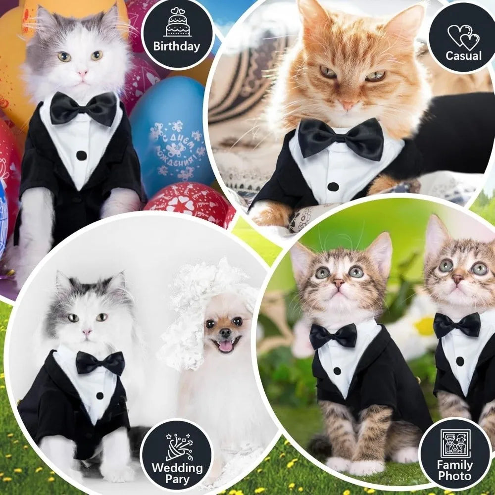Bow-Tie Cat Tuxedo in Black or Grey