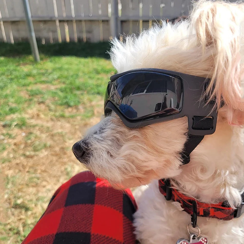 Dog Dress-Up Goggles with Adjustable Head & Chin Straps