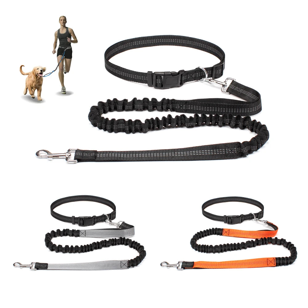 Waist-Belt Dog Leash Set with Bungee Sections