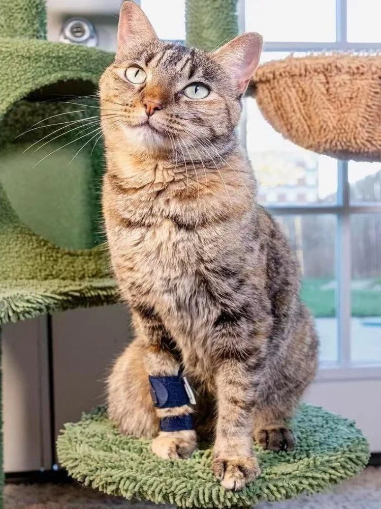Front-Leg Carpal Splint for Dogs