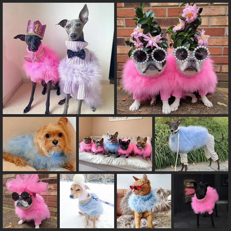 Feather-Trim Pet Sweater & Separate Pearl-Look Glasses Option