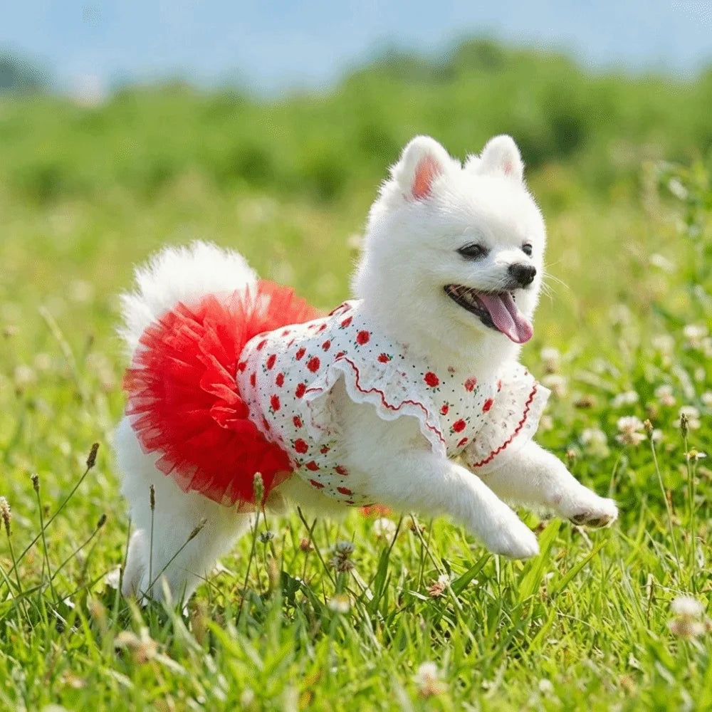 Red Rose Ruffle Cat Dress