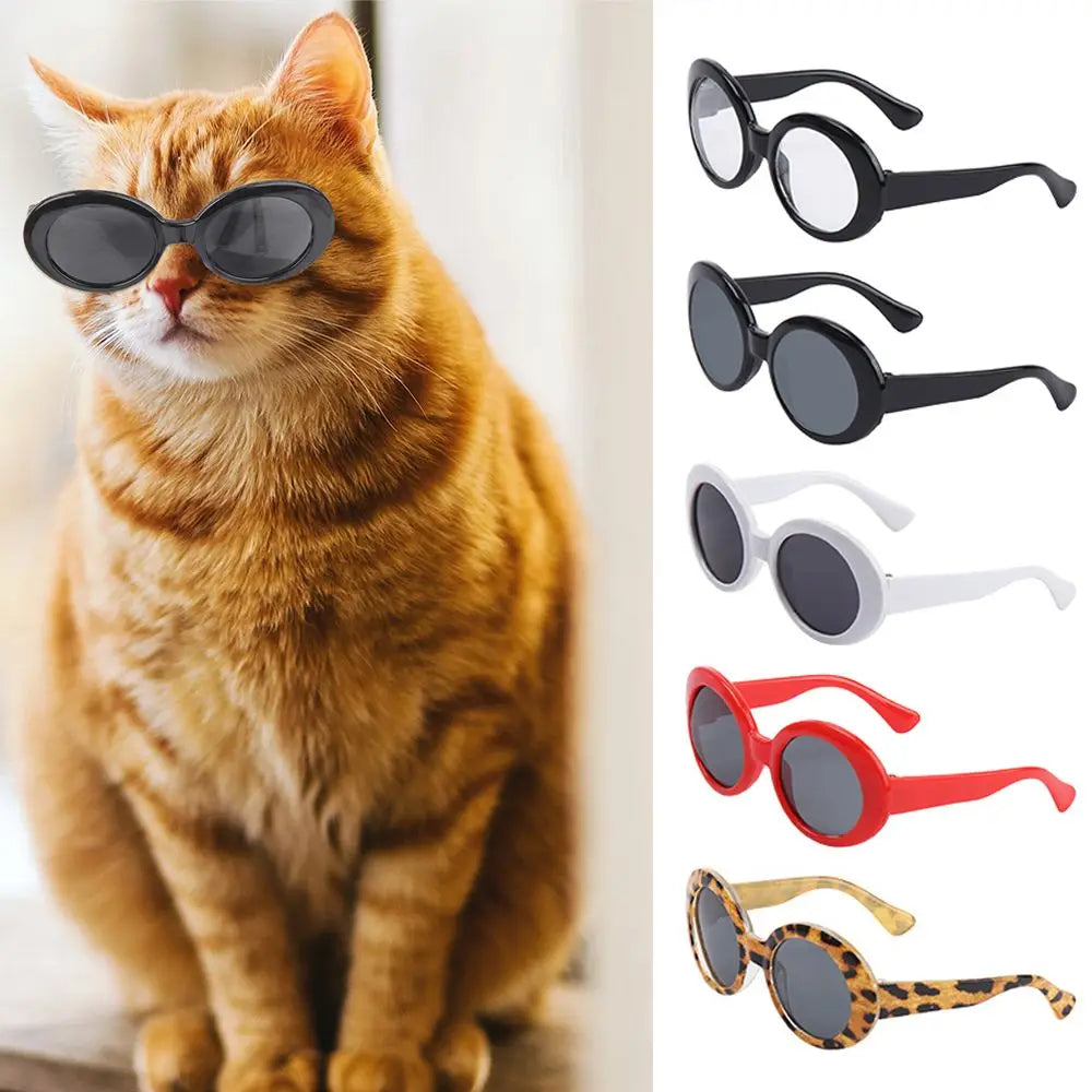 Round-Frame Pet Photo Glasses, Eyewear or Strap Option