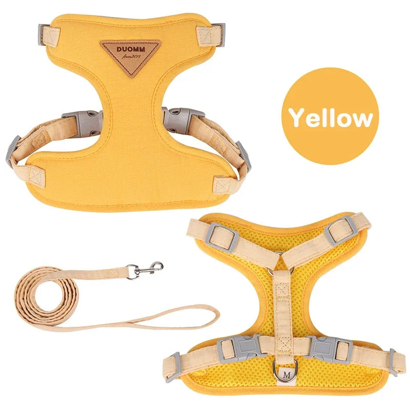 Colorblock Pet Harness & Coordinating Leash Set