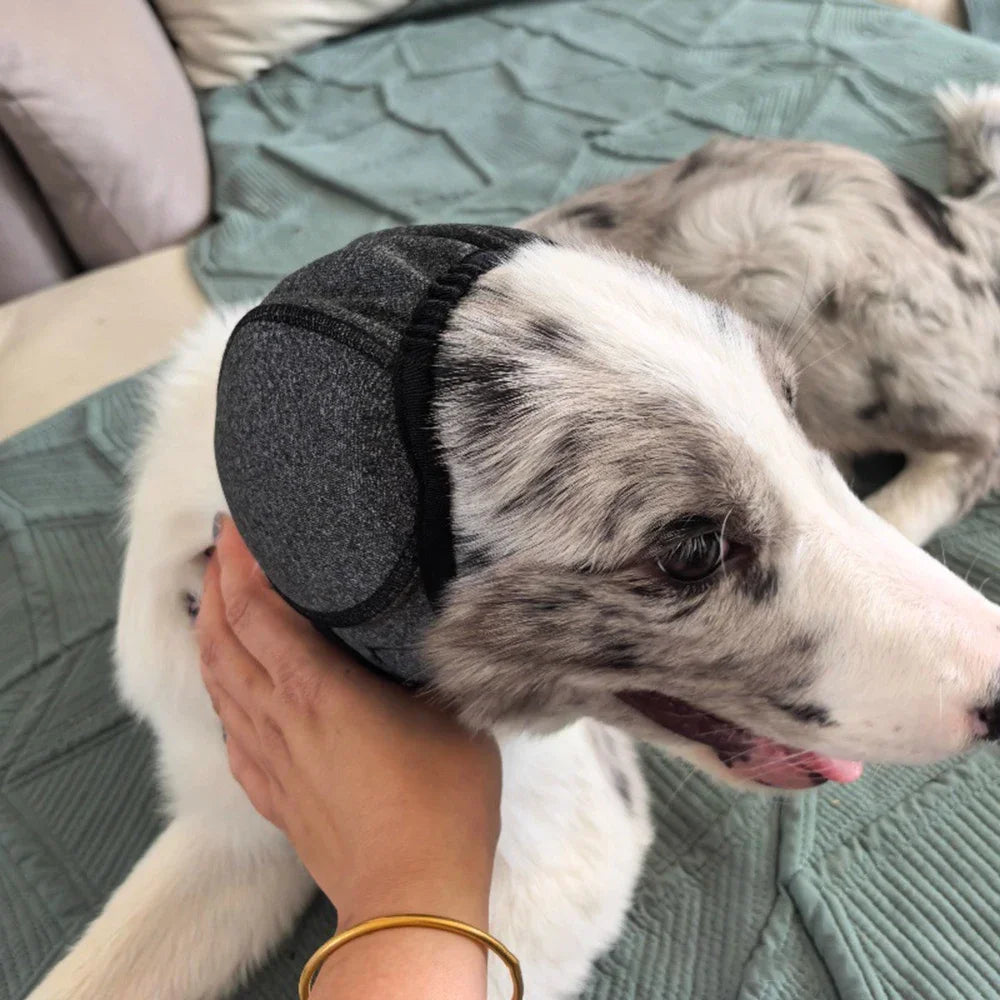 Fabric Dog Ear Wrap in Gray or Fuchsia