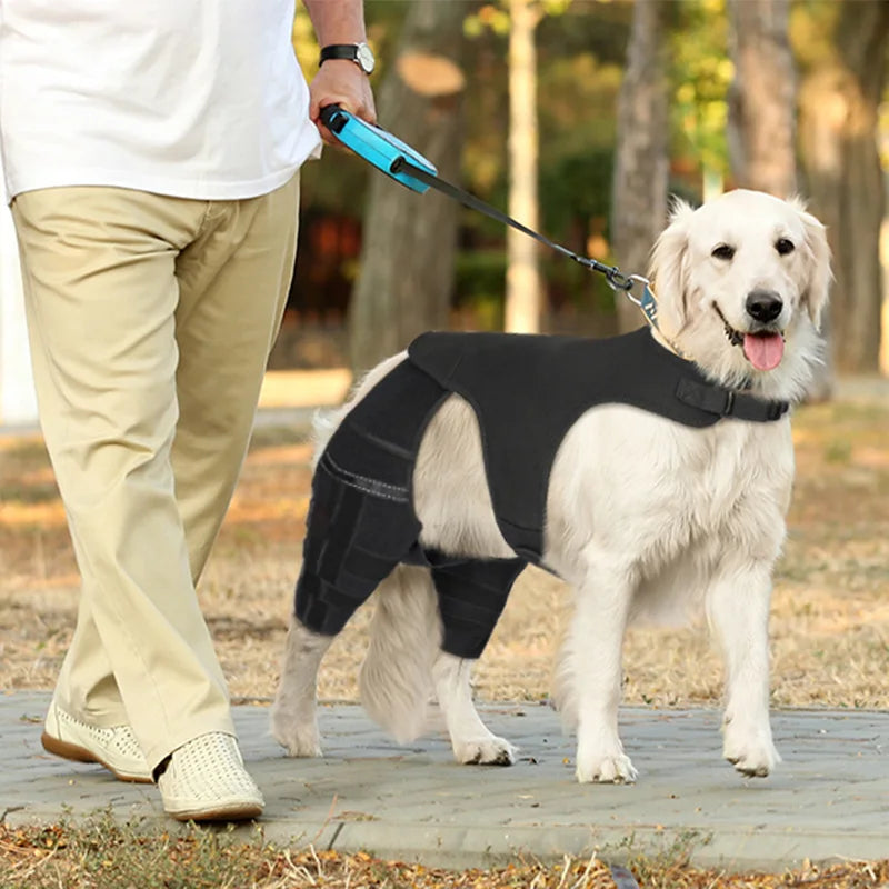 Dog Rear-Leg Brace with Body Strap