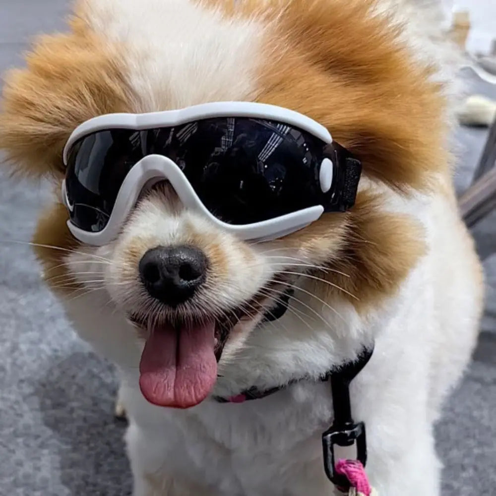 Wraparound Dog Photo Goggles with Adjustable Strap