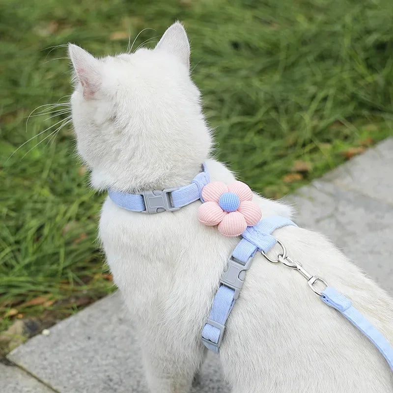 Flower-Detail Pet Harness & Matching Leash Set
