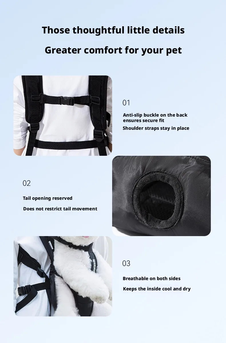 Chest-Worn Legs-Out Pet Carrier with Adjustable Straps