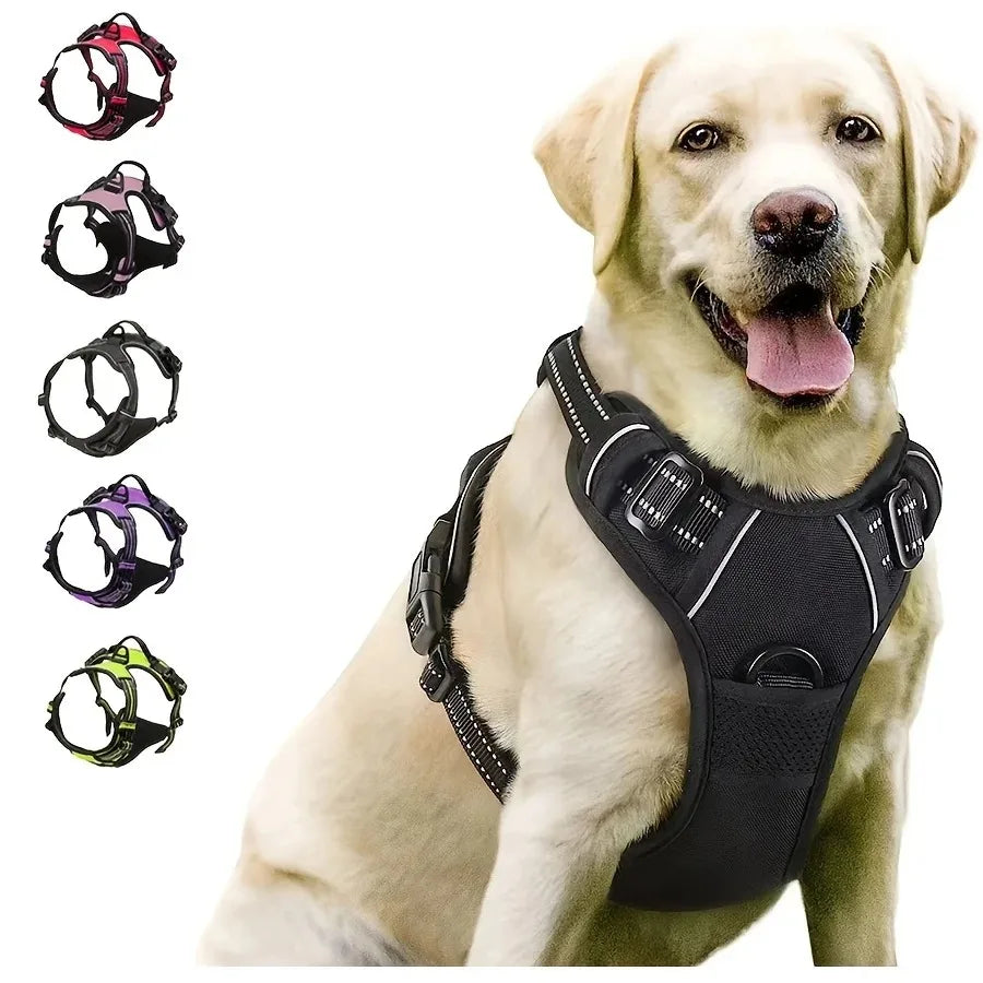 Adjustable Dog Vest Harness with Contrast Trim