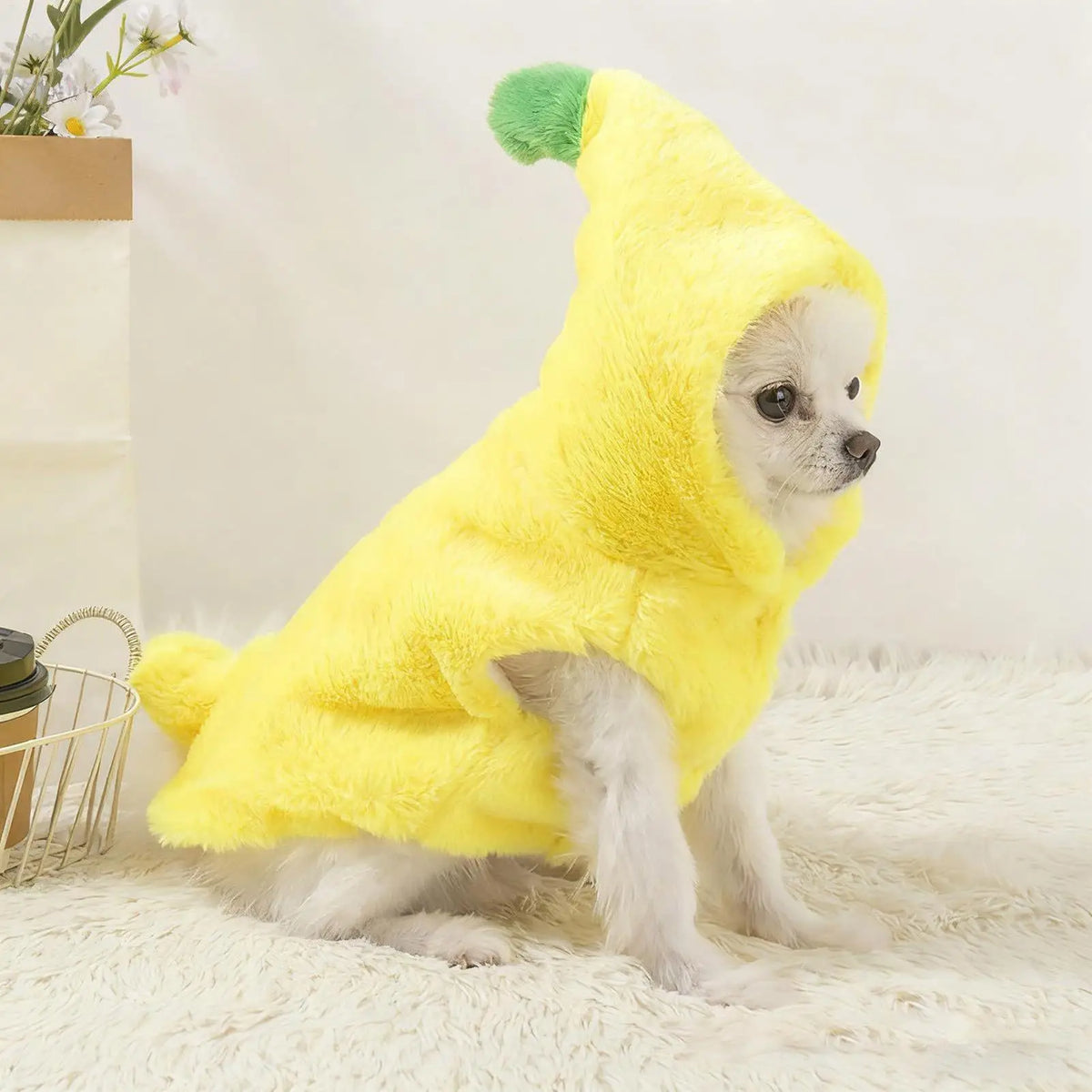 Plush Banana Hooded Pet Costume