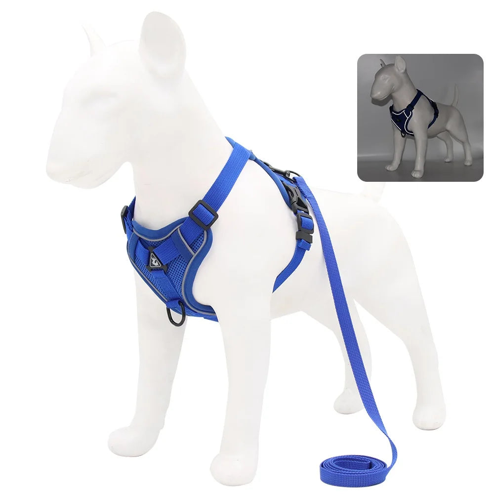 Solid-Color Mesh Pet Harness & 150 cm Leash Set
