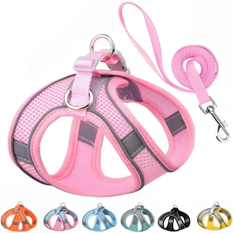 Reflective-Trim Pet Vest Harness & 1.5 m Leash Set