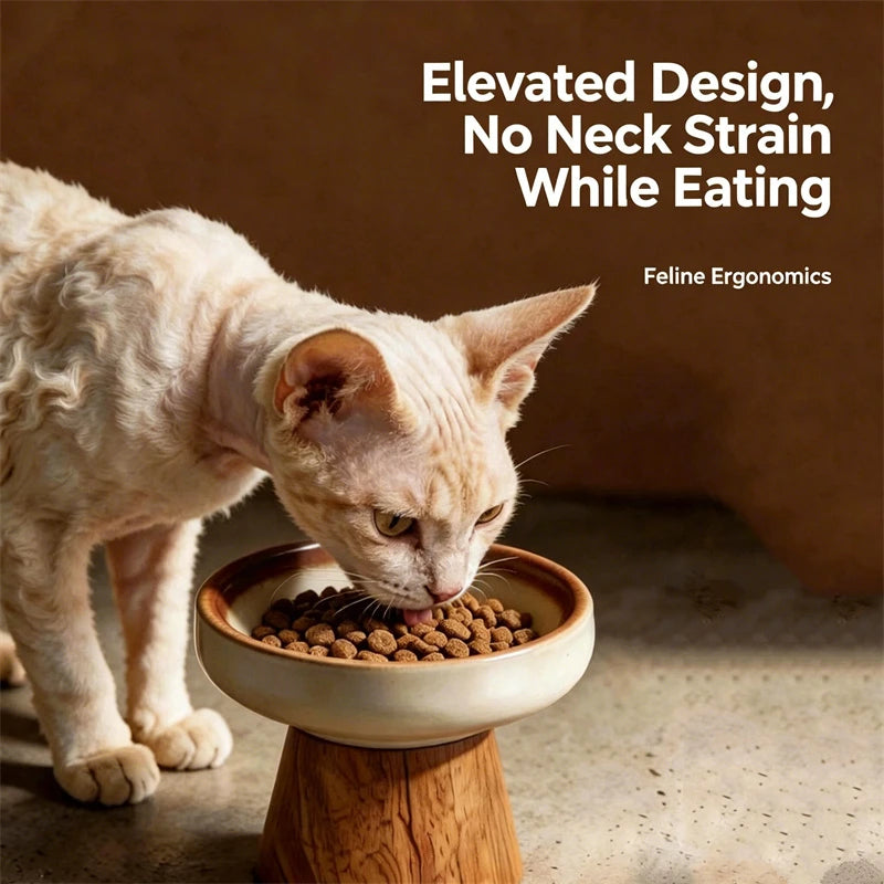 Ceramic Pet Bowl with Wooden Stand